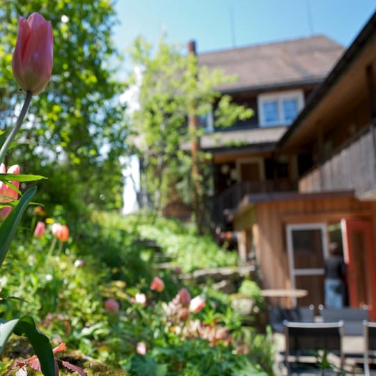 Idyllischer Garten mit Baum und Blick auf die Berge, ein Ort der Ruhe und Selbstfürsorge.