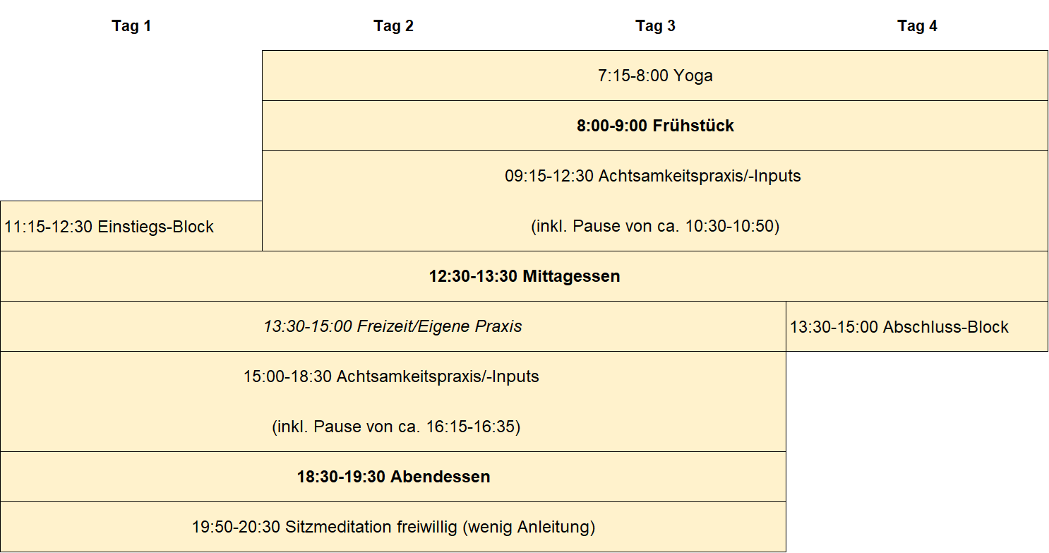 Einzelcoaching online: Klientensitzung via Zoom in einer professionellen, einladenden Umgebung