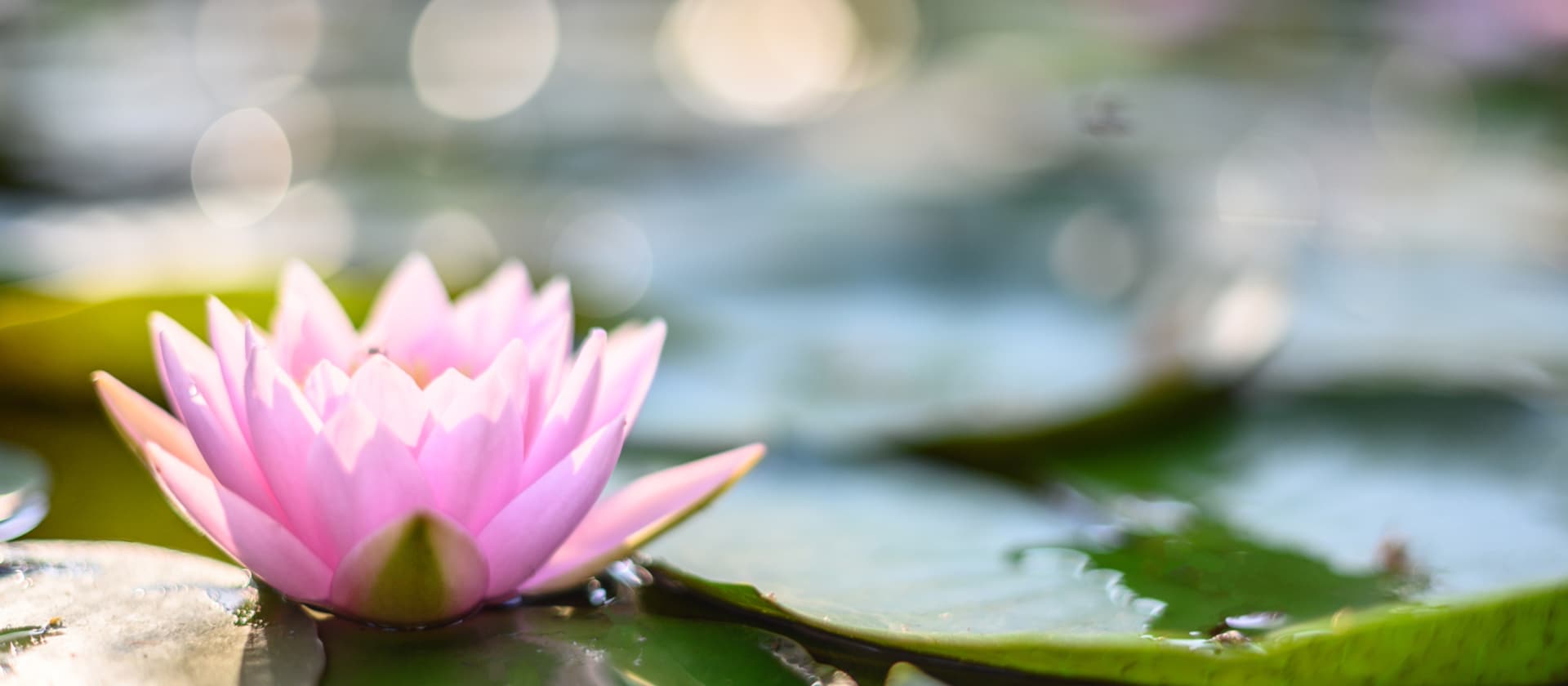 Einzelcoaching online: Klientensitzung via Zoom in einer professionellen, einladenden Umgebung